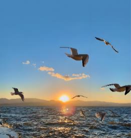 海阔天空